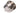 05585 - Century Drill & Tool 05585 Diamond Hole Saw, 2"